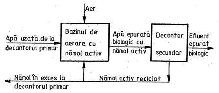 Epurarea Biologica A Apelor Uzate