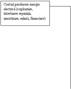 Costuri producere energie electrica (exploatare, intratinere reparatii, amortiyare, salarii)