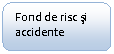 Rounded Rectangle: Fond de risc si accidente
ac

