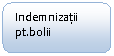 Rounded Rectangle: Indemnizatii pt.bolii

