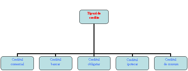 Organization Chart