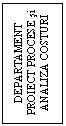 Text Box: DEPARTAMENT PROIECT PROCESE si ANALIZA COSTURI