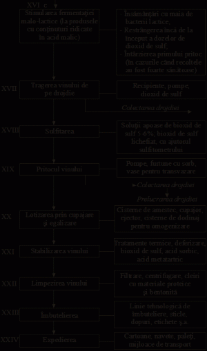 Principalele Procese Care Determina Transformarea Mustului In Vin